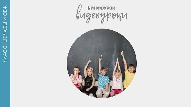 Здоровый образ жизни. правильное питание | классные часы и обж #8 | инфоурок