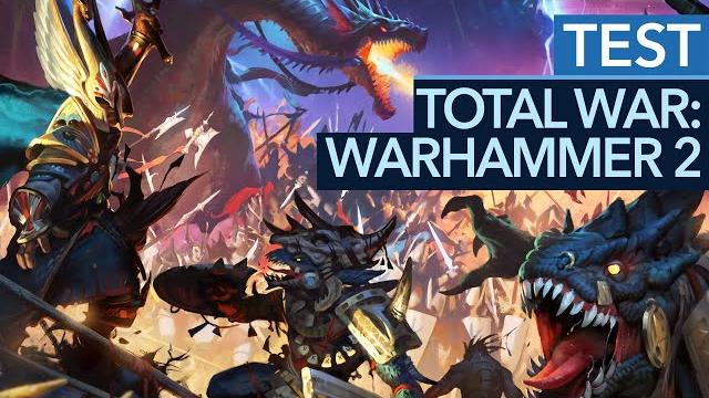 Total war: warhammer 2 - test / review: tolle schlachten, ein entscheidender fehler (gameplay)