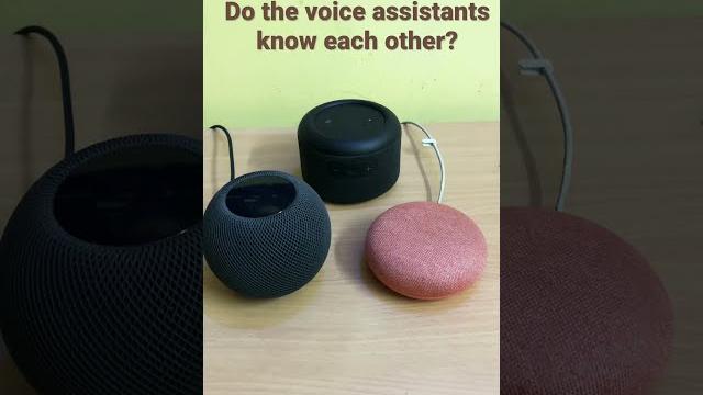 Google assistant vs alexa vs siri | how do they respond about other voice assistants | #shorts