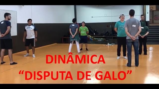 Dinâmica disputa de galo