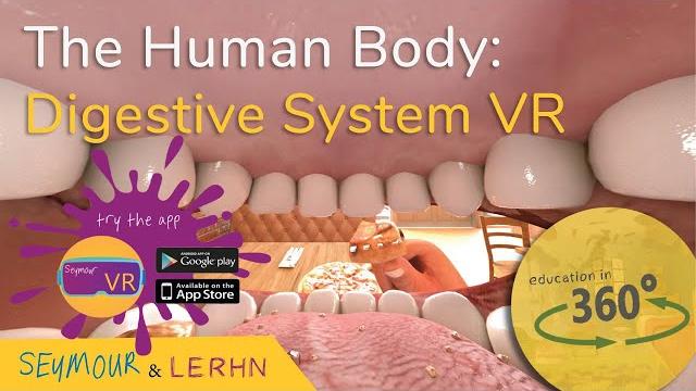 Human digestive system in vr!!! | education in 360